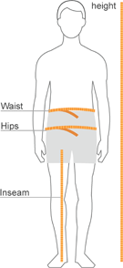 Yellow lines on a mens model showing where to measure height, hips, inseam and waist.