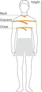 Yellow lines on a model showing where to measure chest, height, neck and overarm.